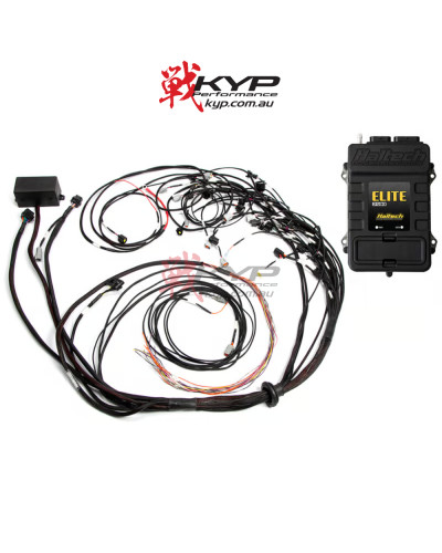 HALTECH Elite 2500 + Terminated Harness Kit For Ford Falcon BA/BF Barra 4.0L I6 - HT-151368 : KYP Performance