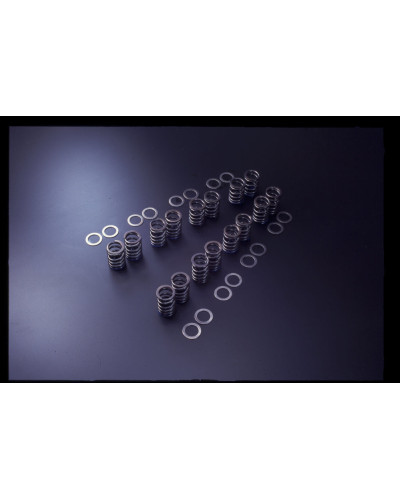 TOMEI VALVE SPRING 3S-GE : KYP Performance House