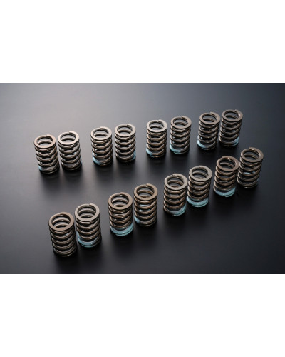 TOMEI VALVE SPRING 4B11/G4KF : KYP Performance House