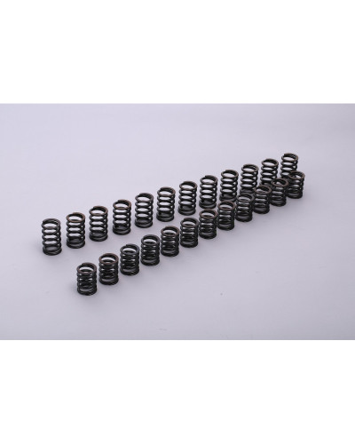 TOMEI VALVE SPRING R33 RB25DE(T) A-TYPE : KYP Performance House