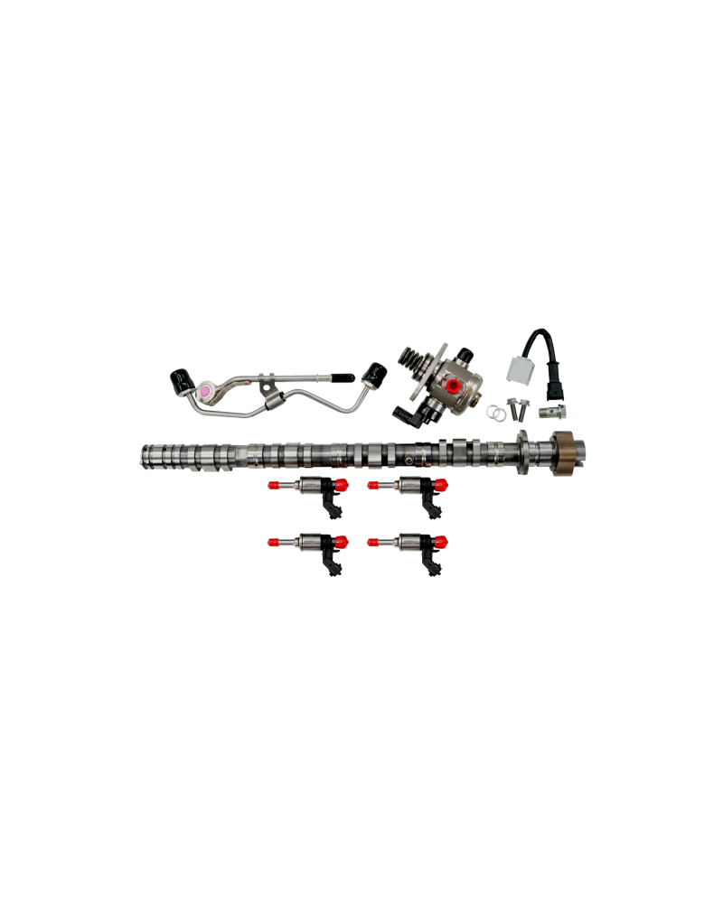 HONDATA FK8 FL5 DE5 FUEL SYSTEM PLUS : KYP Performance House