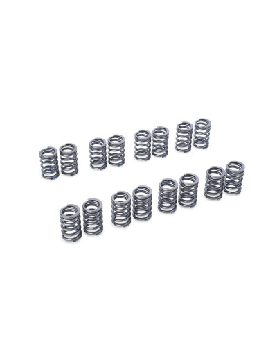 RSE VALVE SPRING EJ205/EJ207/EJ255/EJ257 : KYP Performance House