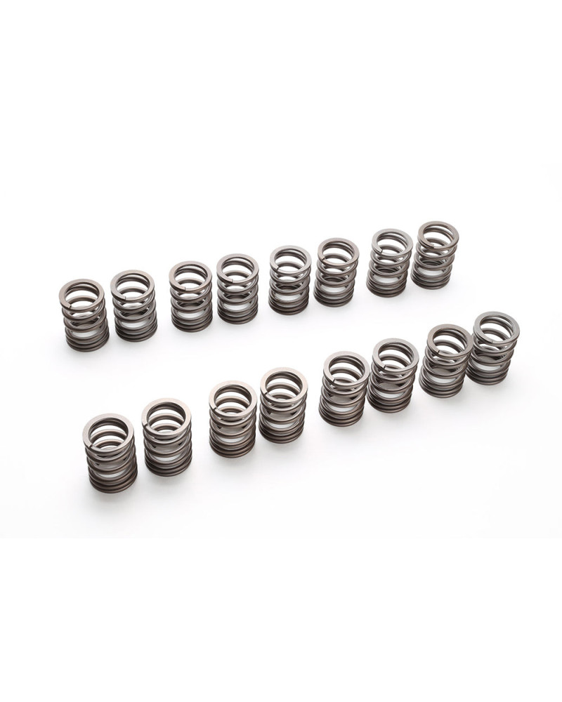 RSE VALVE SPRING KA24DE 240SX USDM : KYP Performance House