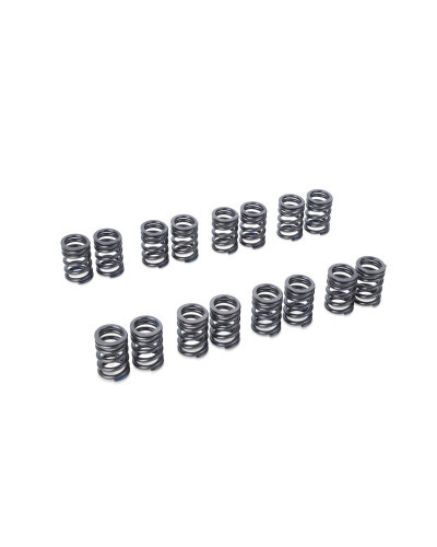 RSE VALVE SPRING CA18DE(T) : KYP Performance House