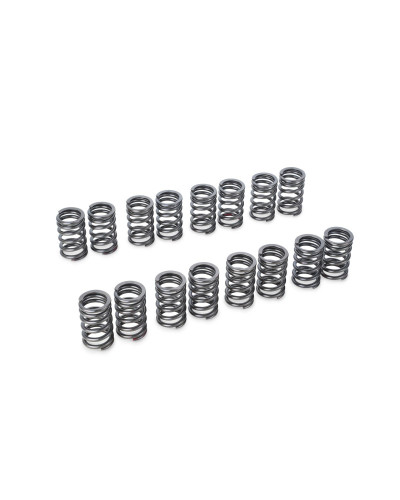 RSE VALVE SPRING SR20DE(T) : KYP Performance House