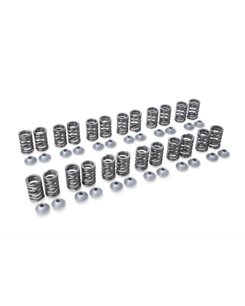 RSE VALVE SPRING RB26DETT TYPE-B : KYP Performance House