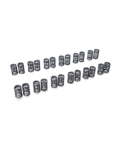 RSE VALVE SPRING RB26DETT TYPE-A : KYP Performance House