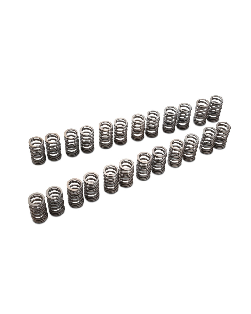 RSE VALVE SPRING VR38DETT : KYP Performance House