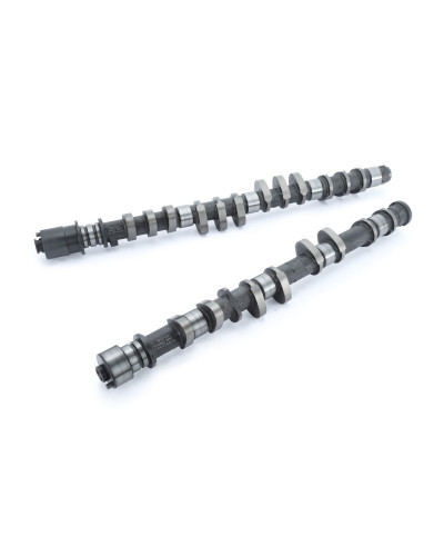 RSE CAMSHAFT SET SPEC-R 4A-G 5VALVE 290/274-10.00/8.15 : KYP Performance House