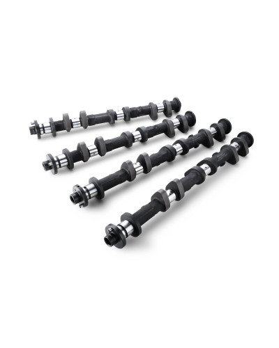 RSE CAMSHAFT SET SPEC-R VQ35DE LATE MODEL 282-11.30/11.00 : KYP Performance House