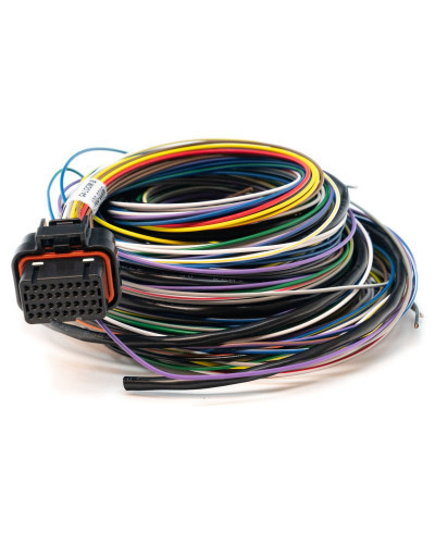 LINK LOOM B (2.5M) - ALL WIREIN ECUS (NOT REQUIRED FOR ATOM OR MONSOON) : KYP Performance House