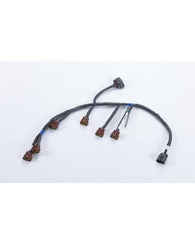 NISMO HERITAGE ENGINE SUB HARNESS - R32 : KYP Performance House