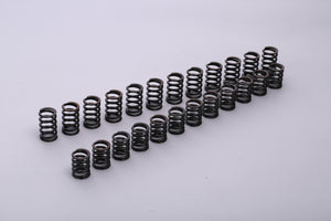 TOMEI VALVE SPRING R33 RB25DE(T) A-TYPE