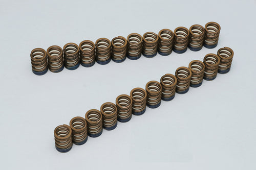 TOMEI VALVE SPRING 1JZ