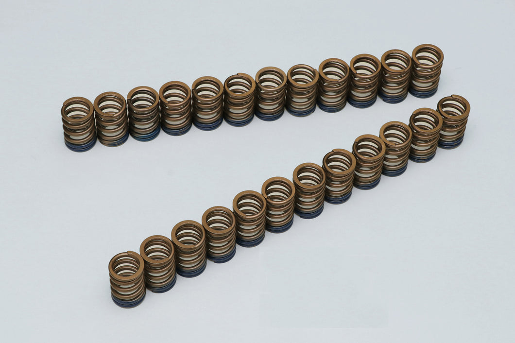 TOMEI VALVE SPRING 1JZ