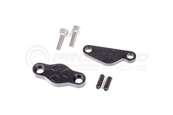 Radium EGR Delete Kit