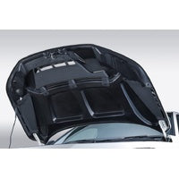 SPOON SPORTS S-TAI RACING BONNET CIVIC TYPE R FL5