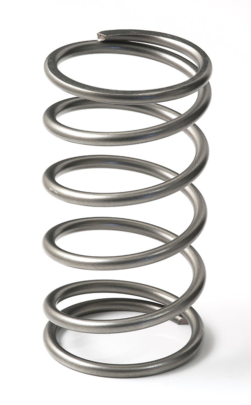 GFB EX50 50mm V-Band style External Wastegate