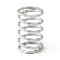 GFB Replacement EX44/EX38 Wastegate 5psi Inner Spring