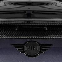 Eventuri Mini JCW GP3 / Clubman / JCW 306HP Carbon Intake