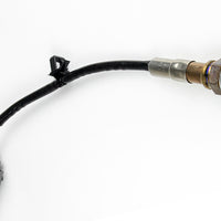 HALTECH Wideband O2 Sensor NTK LZA08-H5 - HT-010712