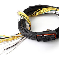HALTECH HPI - High Power Igniter - 15 Amp Eight Channel Flying Lead Loom Only - HT-040025