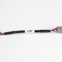 HALTECH Haltech Elite CAN Cable - DTM4 Receptacle to 16 pin Black Tyco - HT-130051