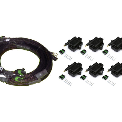 HALTECH V8 GM/Chrysler Hemi Small/Big Block 8 x Individual High Output IGN-1A Inductive Coil and Harness Kit - HT-130312