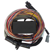 HALTECH Elite 750 Premium Universal Wire-in Harness - HT-140604