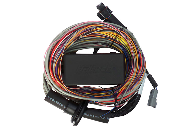 HALTECH Elite 750 Premium Universal Wire-in Harness - HT-140604