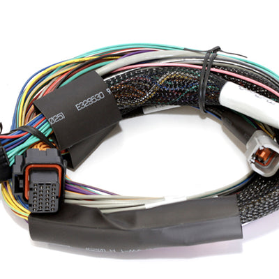 HALTECH Elite 2500 & 2500 T Basic Universal Wire-in Harness - HT-141302