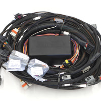 HALTECH Elite 2500 GM GEN III LS1 & LS6 (DBW Retrofit Ready) Terminated Harness - HT-141362