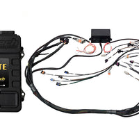 HALTECH Elite 2500 + GM GEN IV LSx (LS2/LS3 etc) non DBW Terminated Harness Kit - HT-151364
