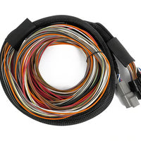 Haltech Nexus IO16 Universal Wire in harness 2.6m (8.5') HT-180000