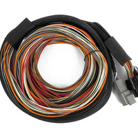 Haltech Nexus IO16 Universal Wire in harness 2.6m (8.5') HT-180000