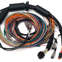 HALTECH Nexus R3 Universal Wire-in Harness - 2.5m (8') - HT-183200