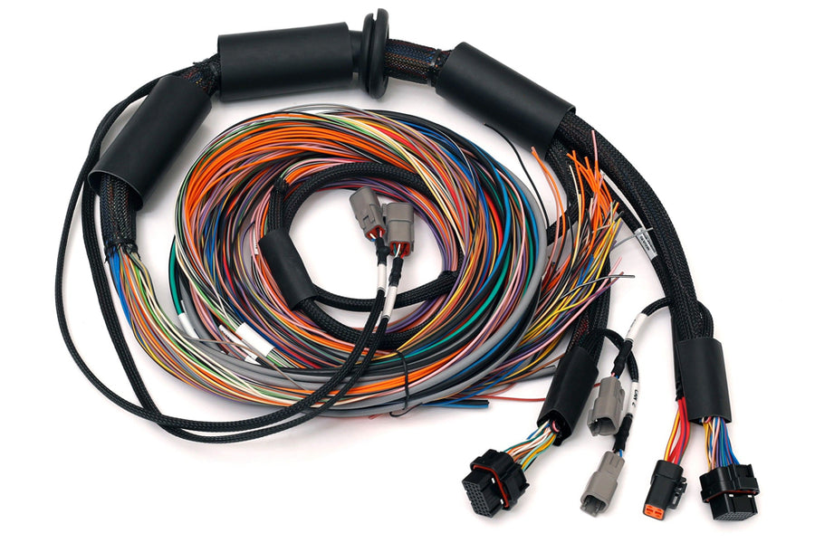 HALTECH Nexus R3 Universal Wire-in Harness - 2.5m (8') - HT-183200