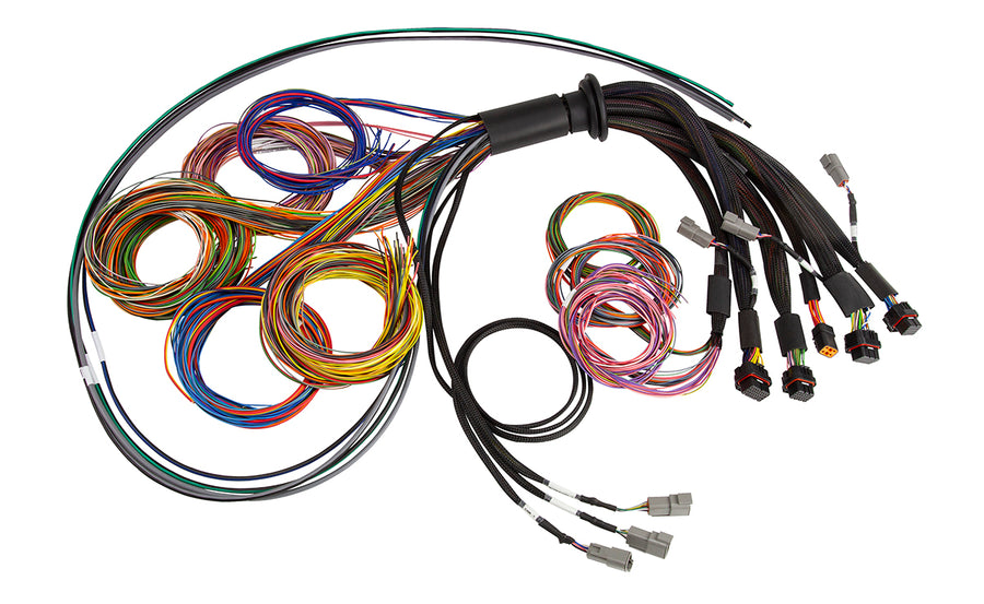 HALTECH NEXUS R5 Universal Wire-In harness - HT-185200