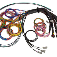HALTECH NEXUS R5 Universal Wire-In Harness 5 Metre Length - HT-185201