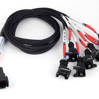 HALTECH Nexus Universal V8 - Junior Timer (EV1) Injector Secondary Breakout - HT-186001