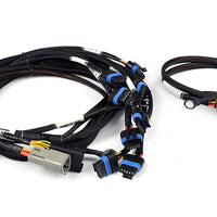HALTECH Nexus Universal V8 - IGN-1A Ford Harness - HT-186061