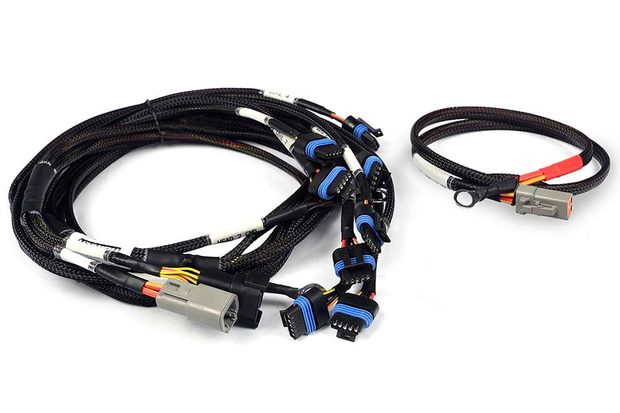 HALTECH Nexus Universal V8 - IGN-1A Ford Harness - HT-186061