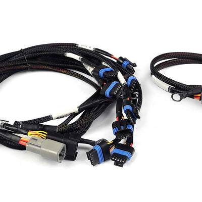 HALTECH Nexus Universal V8 - IGN-1A Ford Harness - HT-186061