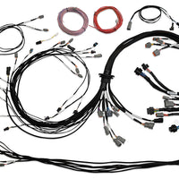HALTECH Universal V8 Terminated Engine Harness for Nexus R5 VCU - HT-186200