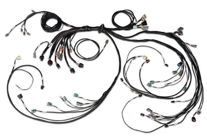 HALTECH Nexus R5 LSx DBW Terminated Harness - DBW ready - HT-186205