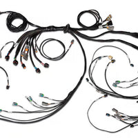 HALTECH Nexus R5 LSx DBW Terminated Harness - DBW ready - HT-186205