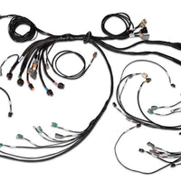 HALTECH Nexus R5 LSx DBW Terminated Harness - DBW ready - HT-186205