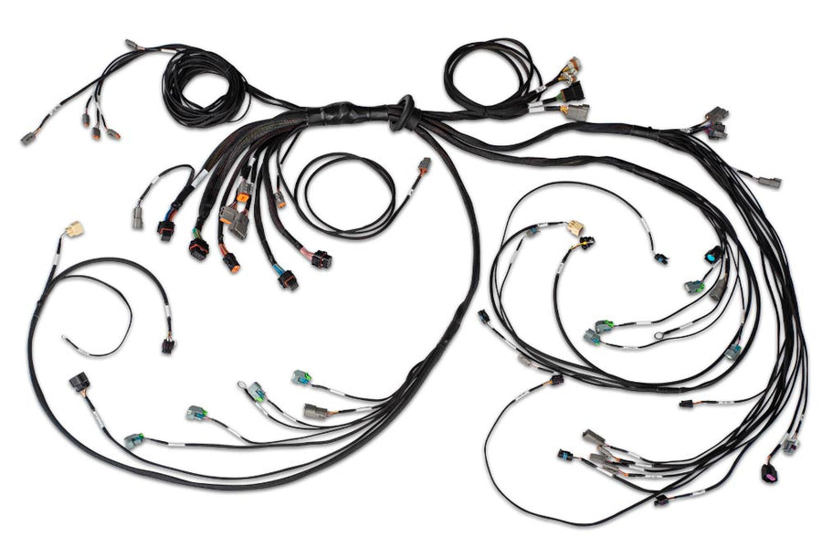 HALTECH Nexus R5 LSx DBW Terminated Harness - DBW ready - HT-186205