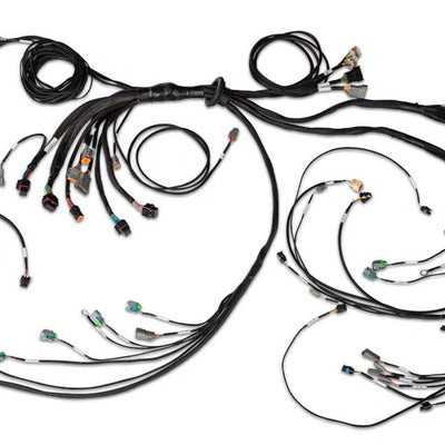 HALTECH Nexus R5 LSx DBW Terminated Harness - DBW ready - HT-186205