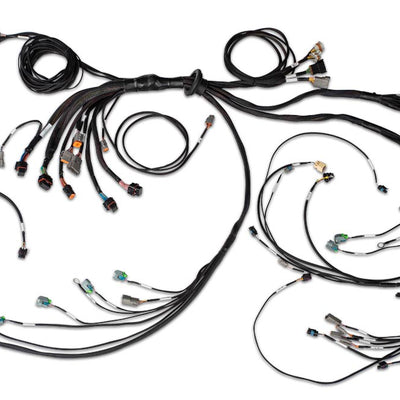 HALTECH Nexus R5 LSx DBW Terminated Harness - DBW ready - HT-186205